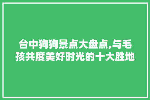 台中狗狗景点大盘点,与毛孩共度美好时光的十大胜地