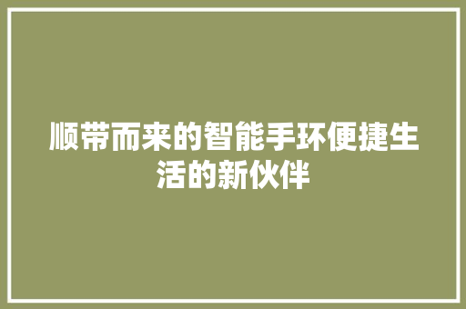 顺带而来的智能手环便捷生活的新伙伴