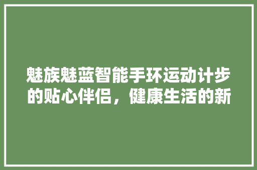 魅族魅蓝智能手环运动计步的贴心伴侣，健康生活的新起点