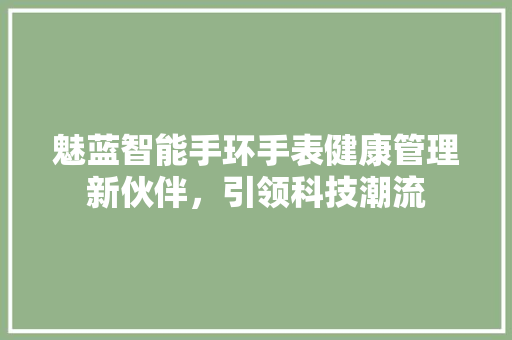 魅蓝智能手环手表健康管理新伙伴，引领科技潮流