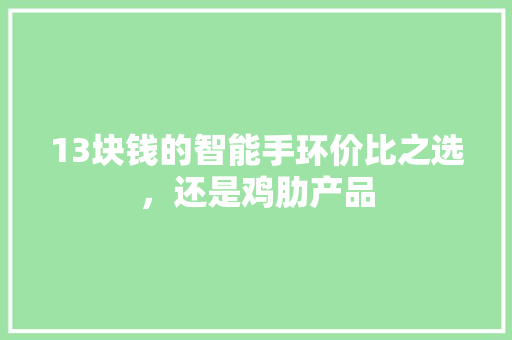 13块钱的智能手环价比之选，还是鸡肋产品