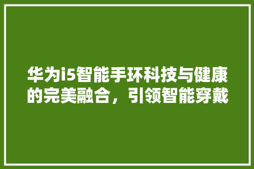华为i5智能手环科技与健康的完美融合，引领智能穿戴新潮流
