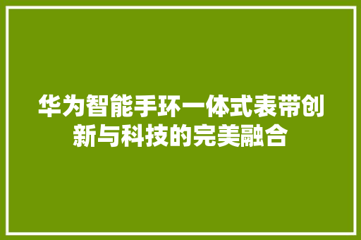 华为智能手环一体式表带创新与科技的完美融合