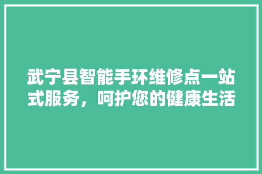 武宁县智能手环维修点一站式服务，呵护您的健康生活助手
