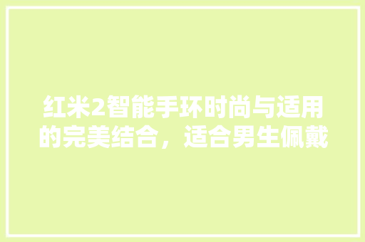 红米2智能手环时尚与适用的完美结合，适合男生佩戴的智能健康伙伴  第1张