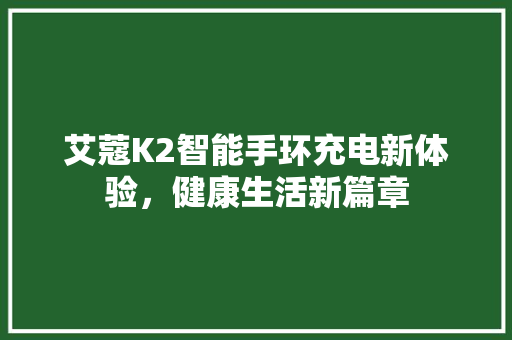 艾蔻K2智能手环充电新体验，健康生活新篇章