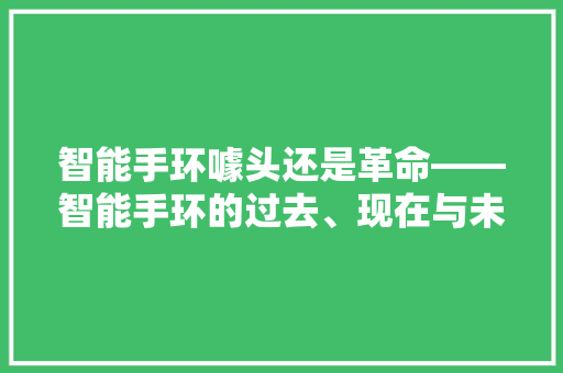 智能手环噱头还是革命——智能手环的过去、现在与未来