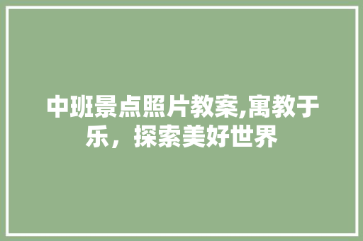 中班景点照片教案,寓教于乐，探索美好世界