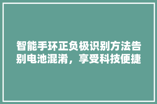 智能手环正负极识别方法告别电池混淆，享受科技便捷  第1张