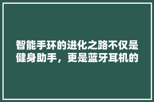 智能手环的进化之路不仅是健身助手，更是蓝牙耳机的完美替代者