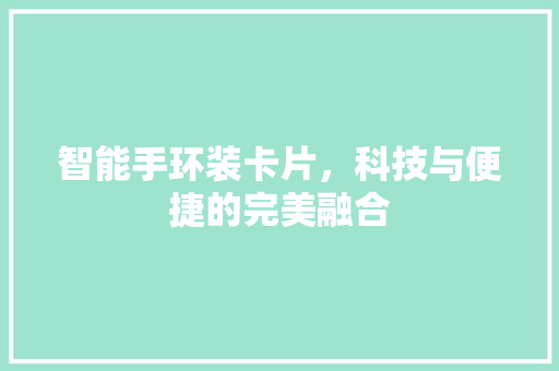 智能手环装卡片，科技与便捷的完美融合  第1张
