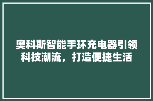 奥科斯智能手环充电器引领科技潮流，打造便捷生活