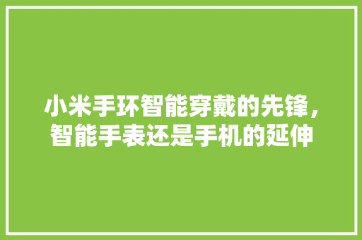 小米手环智能穿戴的先锋，智能手表还是手机的延伸