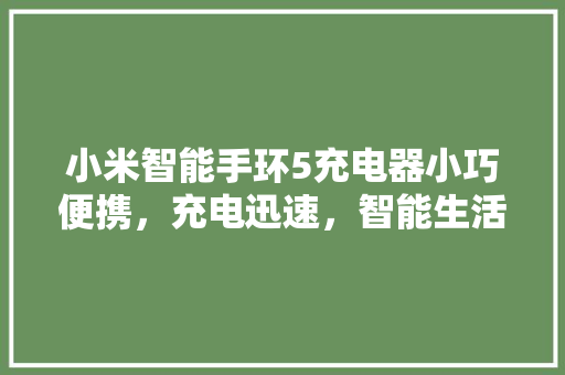 小米智能手环5充电器小巧便携，充电迅速，智能生活新选择  第1张