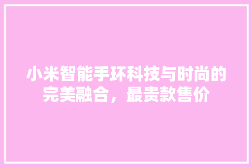 小米智能手环科技与时尚的完美融合，最贵款售价  第1张