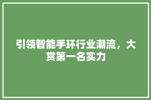 引领智能手环行业潮流，大赏第一名实力