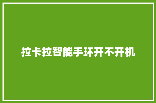 拉卡拉智能手环开不开机