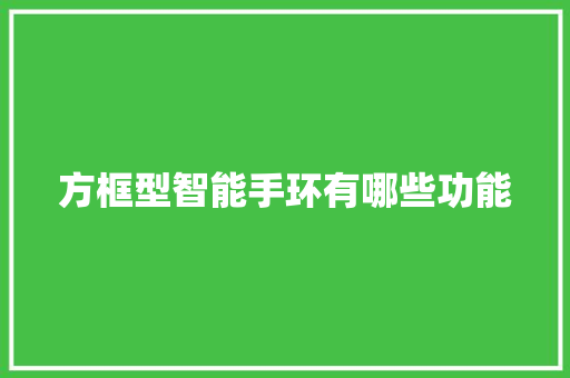 方框型智能手环有哪些功能