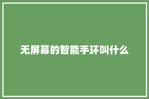 无屏幕的智能手环叫什么