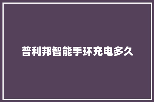 普利邦智能手环充电多久