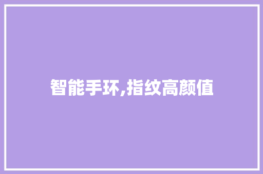 智能手环,指纹高颜值