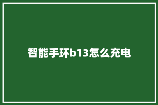 智能手环b13怎么充电