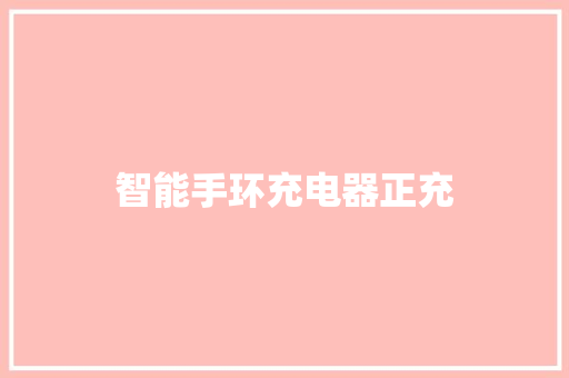 智能手环充电器正充
