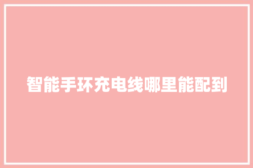 智能手环充电线哪里能配到