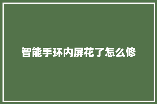 智能手环内屏花了怎么修
