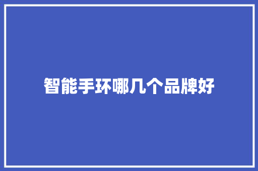 智能手环哪几个品牌好