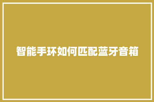 智能手环如何匹配蓝牙音箱