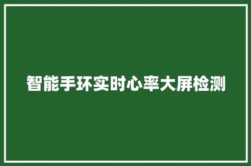 智能手环实时心率大屏检测  第1张