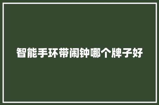 智能手环带闹钟哪个牌子好