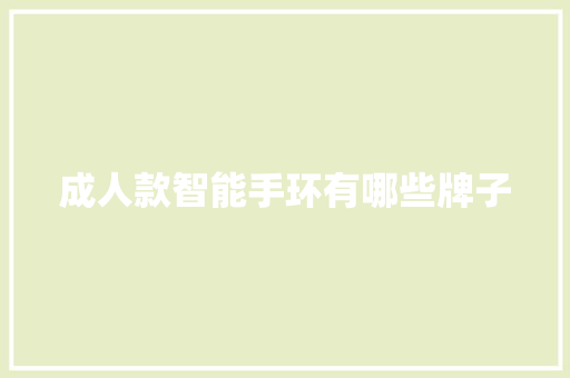 成人款智能手环有哪些牌子