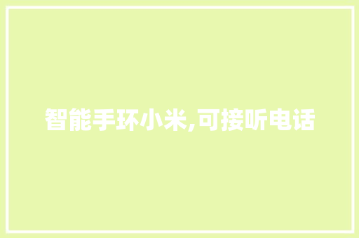 智能手环小米,可接听电话