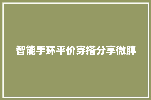 智能手环平价穿搭分享微胖