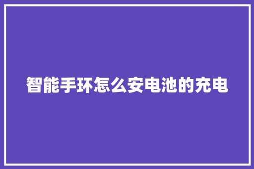 智能手环怎么安电池的充电