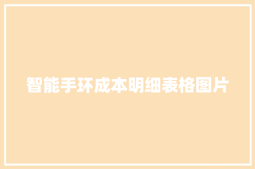 智能手环成本明细表格图片