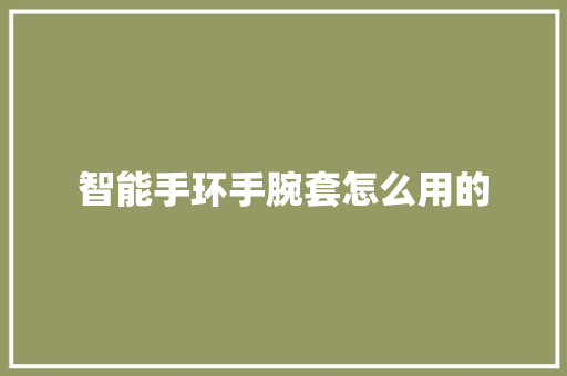 智能手环手腕套怎么用的