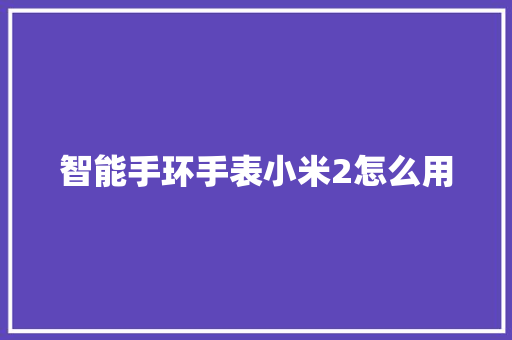 智能手环手表小米2怎么用