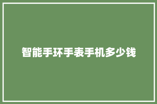 智能手环手表手机多少钱