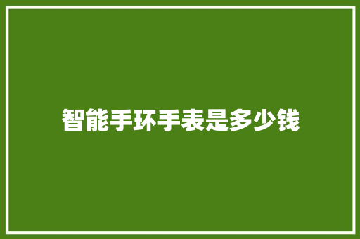 智能手环手表是多少钱