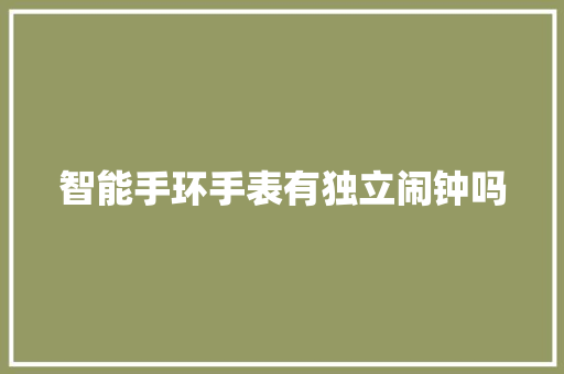 智能手环手表有独立闹钟吗