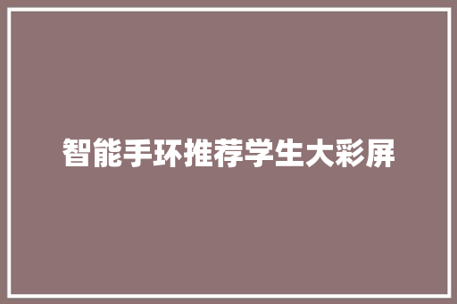 智能手环推荐学生大彩屏