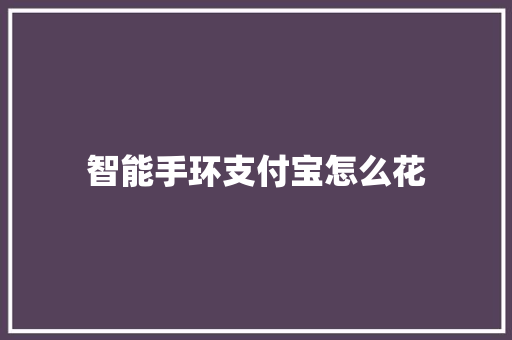 智能手环支付宝怎么花