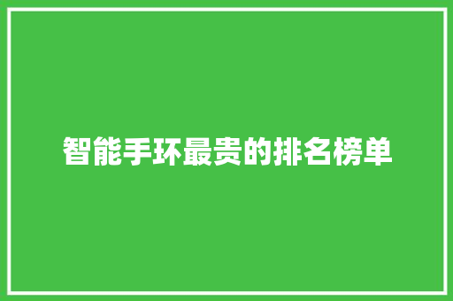 智能手环最贵的排名榜单