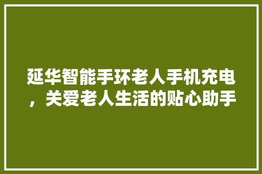 延华智能手环老人手机充电，关爱老人生活的贴心助手