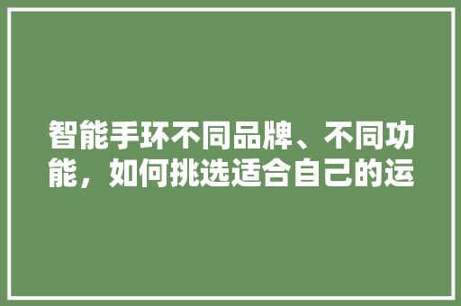 智能手环不同品牌、不同功能，如何挑选适合自己的运动伙伴