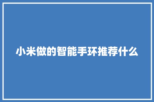 小米做的智能手环推荐什么  第1张
