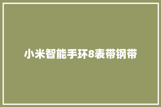 小米智能手环8表带钢带